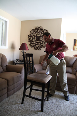 Upholstery Cleaning